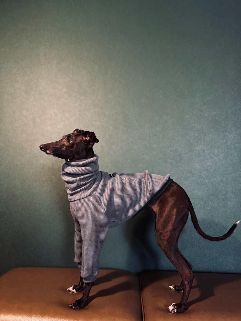 "Amore mio" Waffle pullover Bluegrey body color