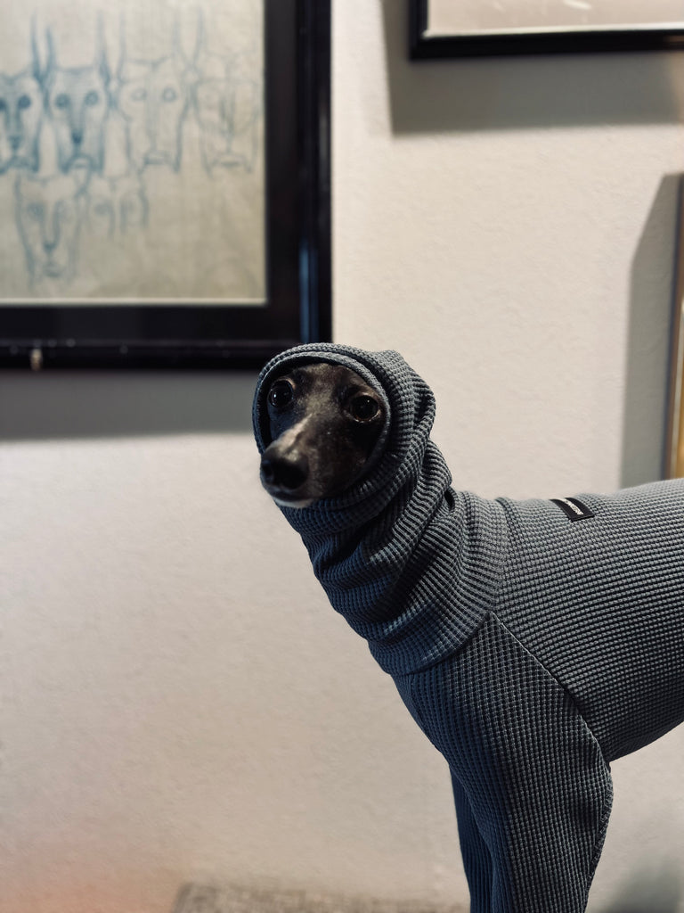 "Amore mio" Waffle pullover Bluegrey body color