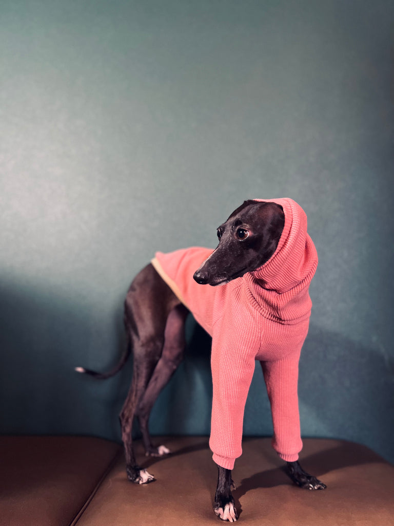"Amore mio Waffle pullover rosepink body color