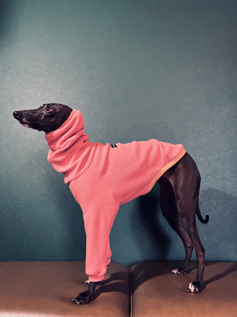 "Amore mio Waffle pullover rosepink body color