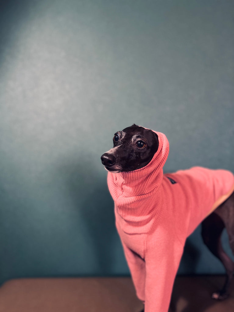 "Amore mio Waffle pullover rosepink body color