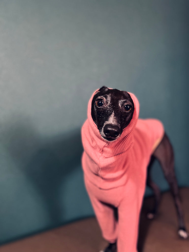 "Amore mio Waffle pullover rosepink body color