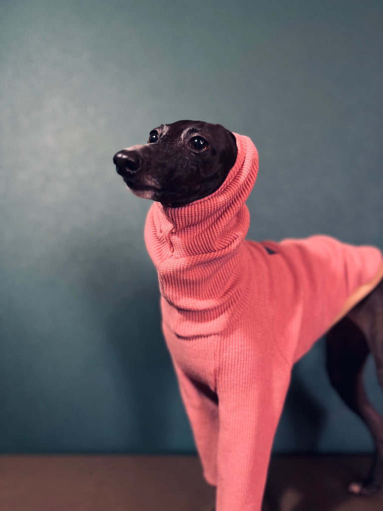"Amore mio Waffle pullover rosepink body color