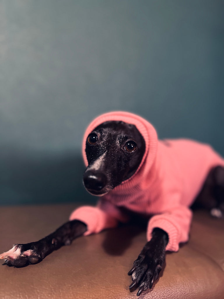 "Amore mio Waffle pullover rosepink body color