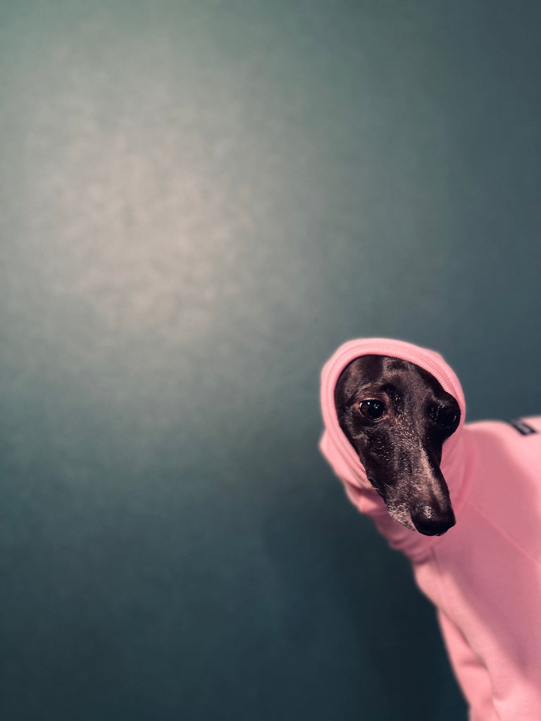 "Amore mio" Sweat Rompers babypink body color