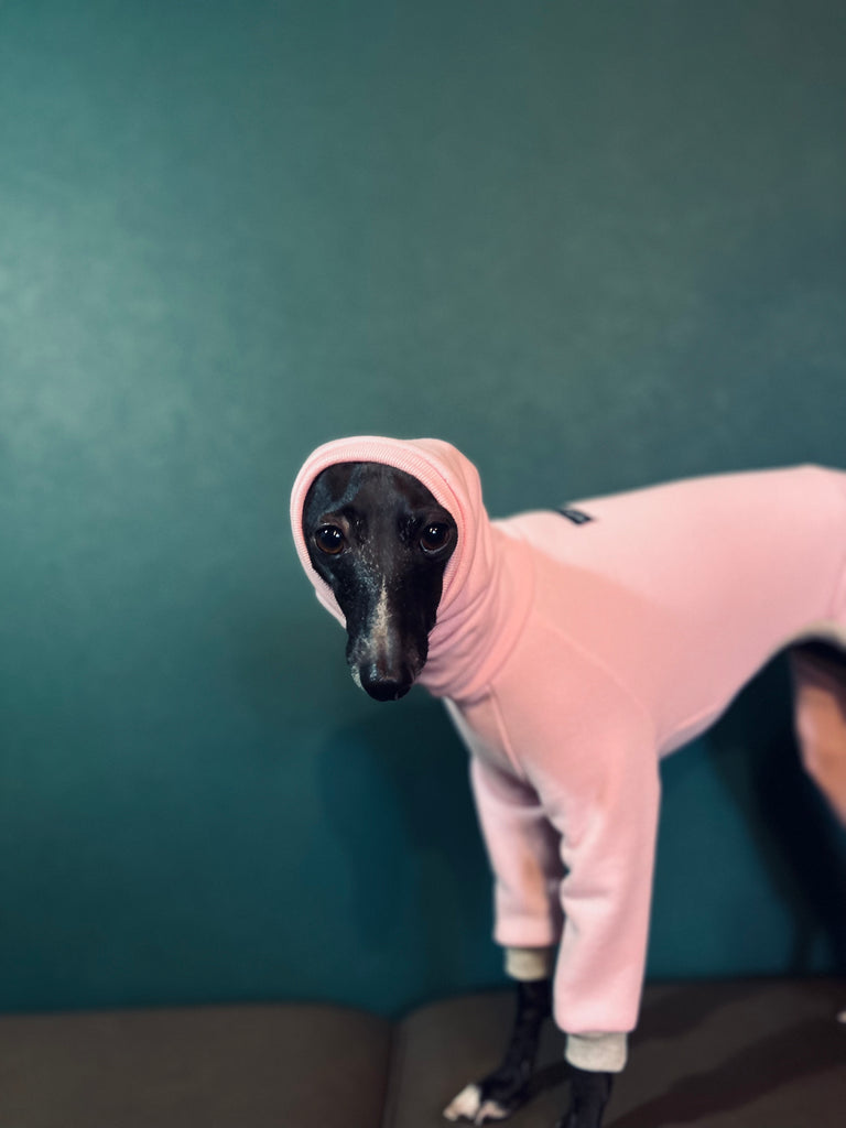 "Amore mio" sweat pullover babypink body color