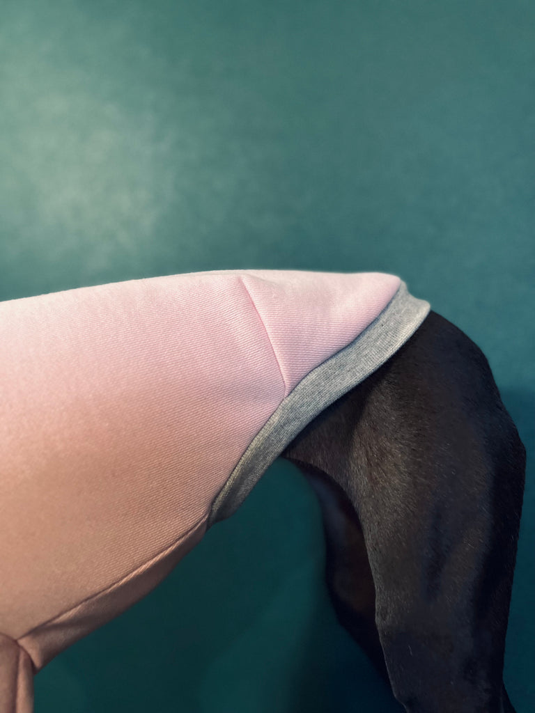 "Amore mio" sweat pullover babypink body color