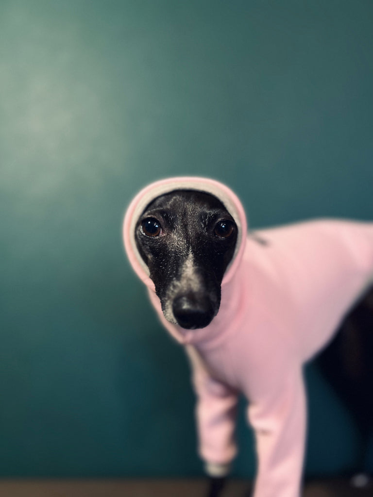 "Amore mio" sweat pullover babypink body color