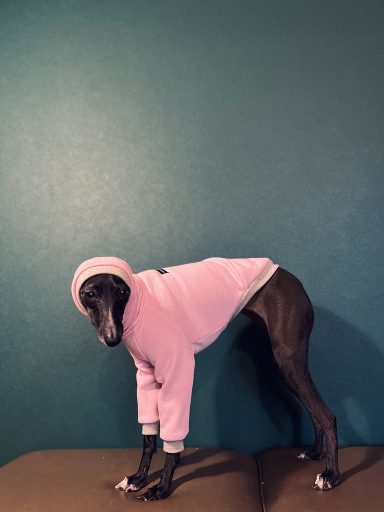 "Amore mio" sweat pullover babypink body color