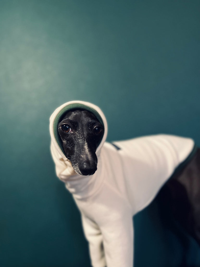 "Amore mio" sweat pullover white body color