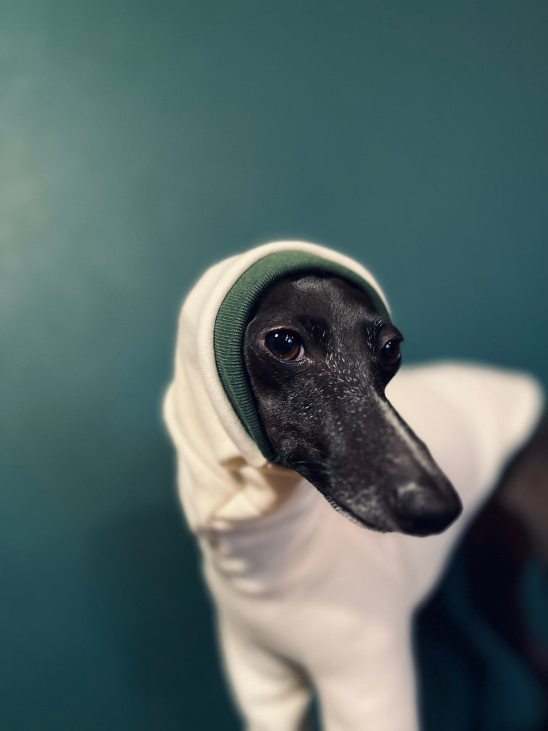 "Amore mio" sweat pullover white body color