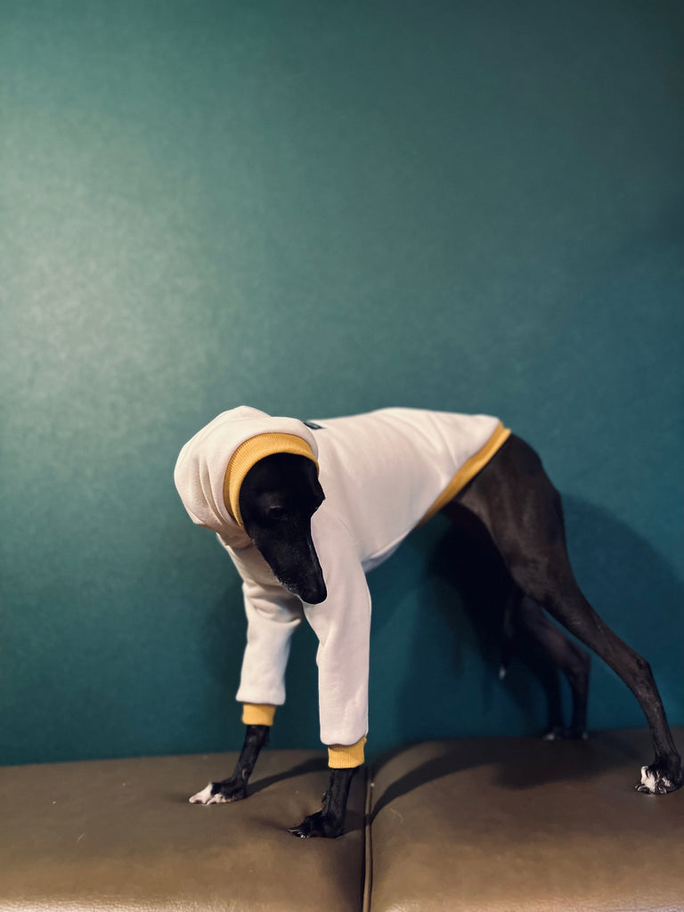 "Amore mio" sweat pullover Grege body color