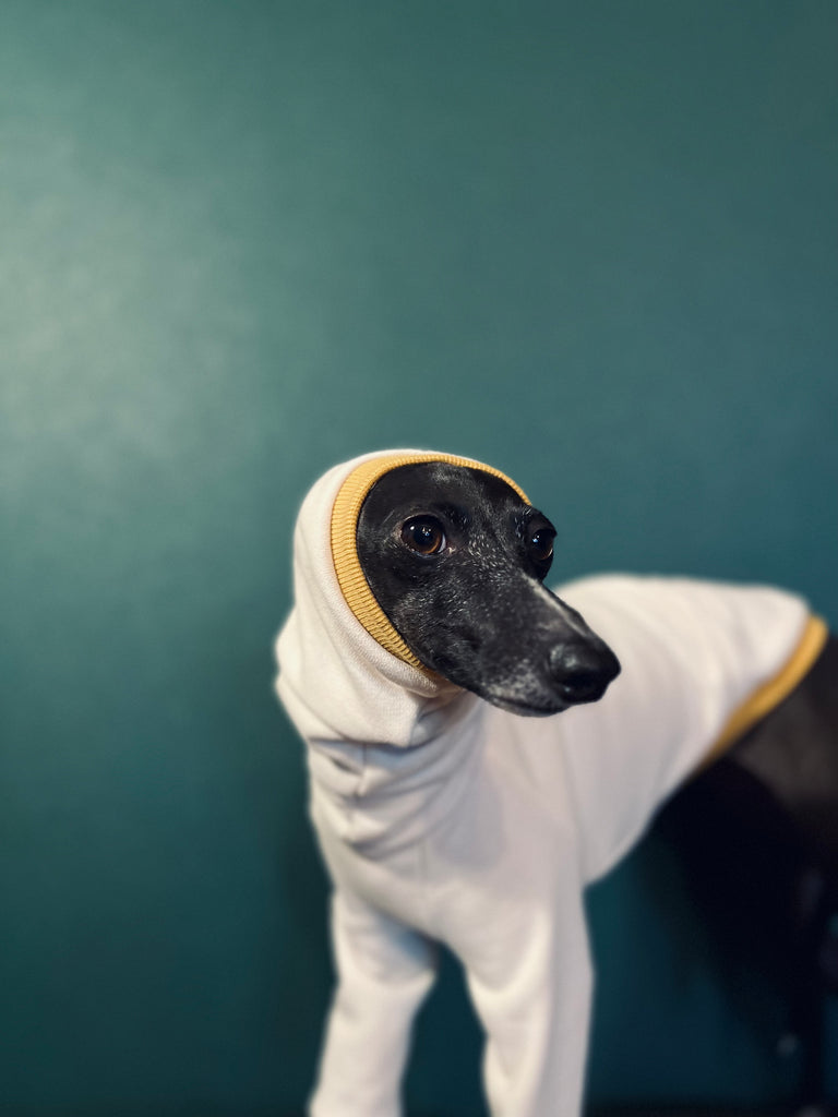 "Amore mio" sweat pullover Grege body color