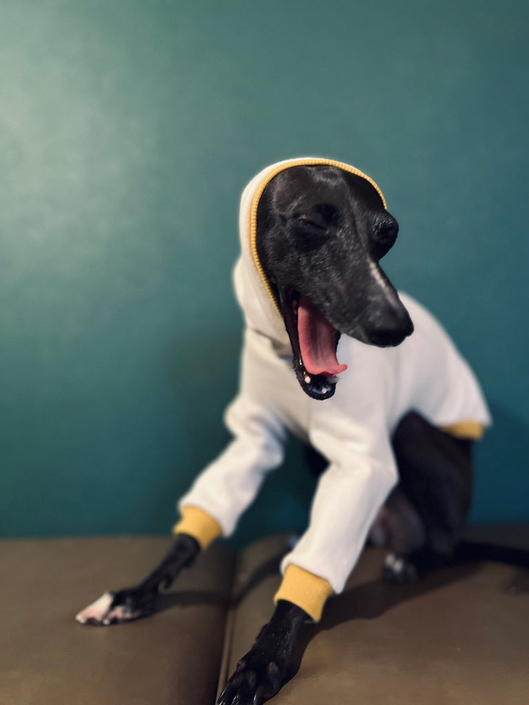 "Amore mio" sweat pullover Grege body color