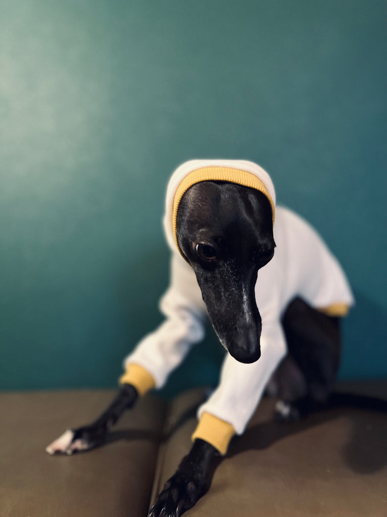 "Amore mio" sweat pullover Grege body color