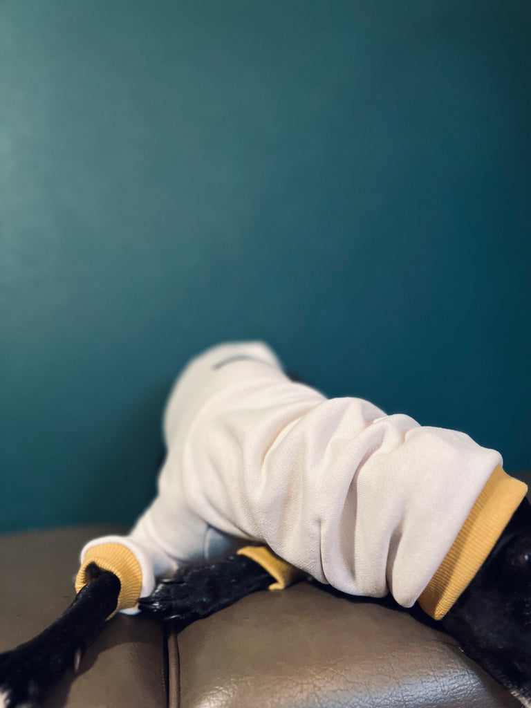 "Amore mio" sweat pullover Grege body color