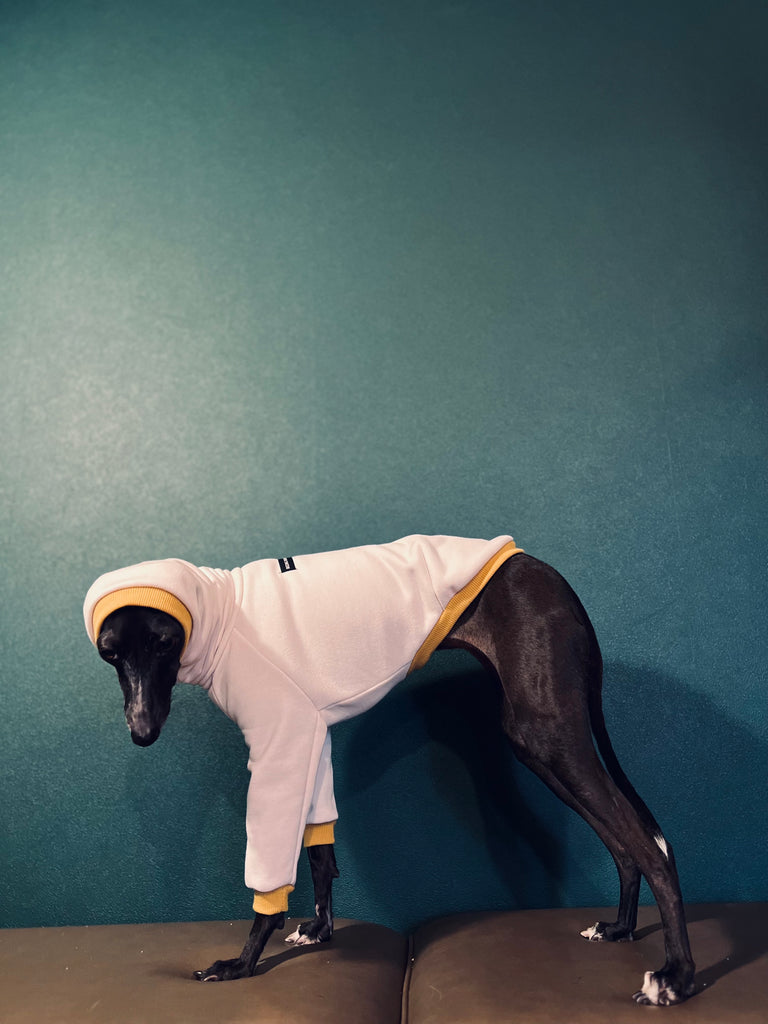 "Amore mio" sweat pullover Grege body color