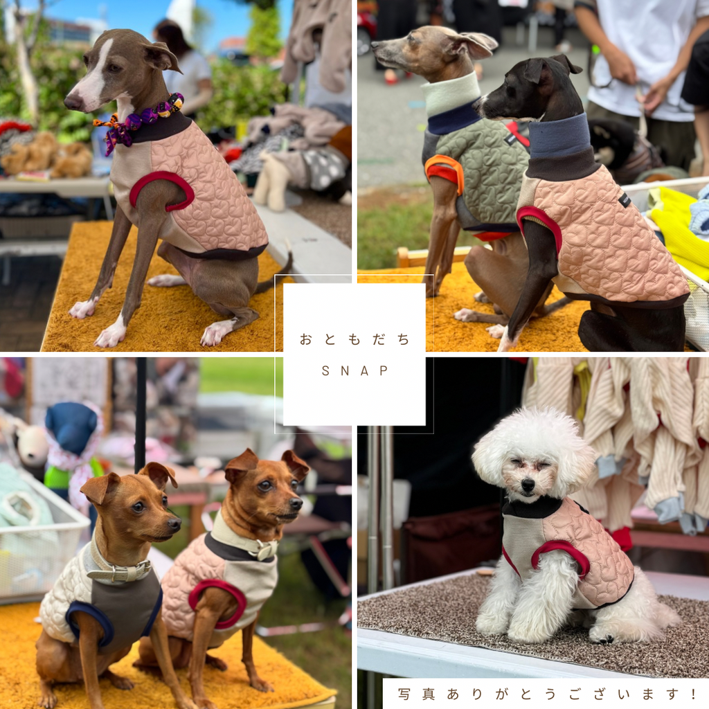 "Dear..."Dots Vest -Gray color