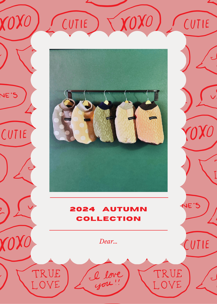 "Dear..."Dots Vest -Gray color