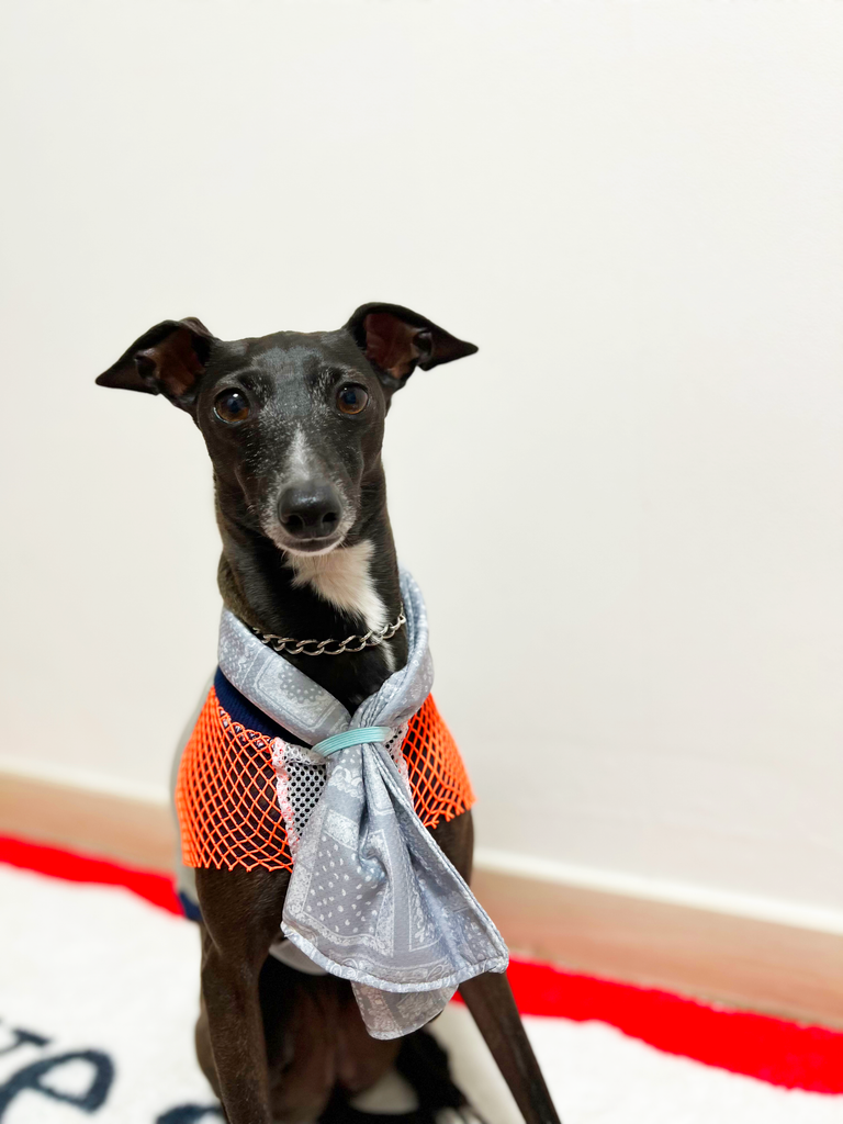 【ロング丈】Cool No-sleeve & towel 【gray & orange】