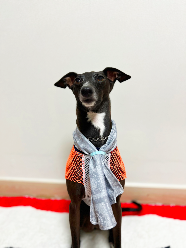 【ロング丈】Cool No-sleeve & towel 【gray & orange】