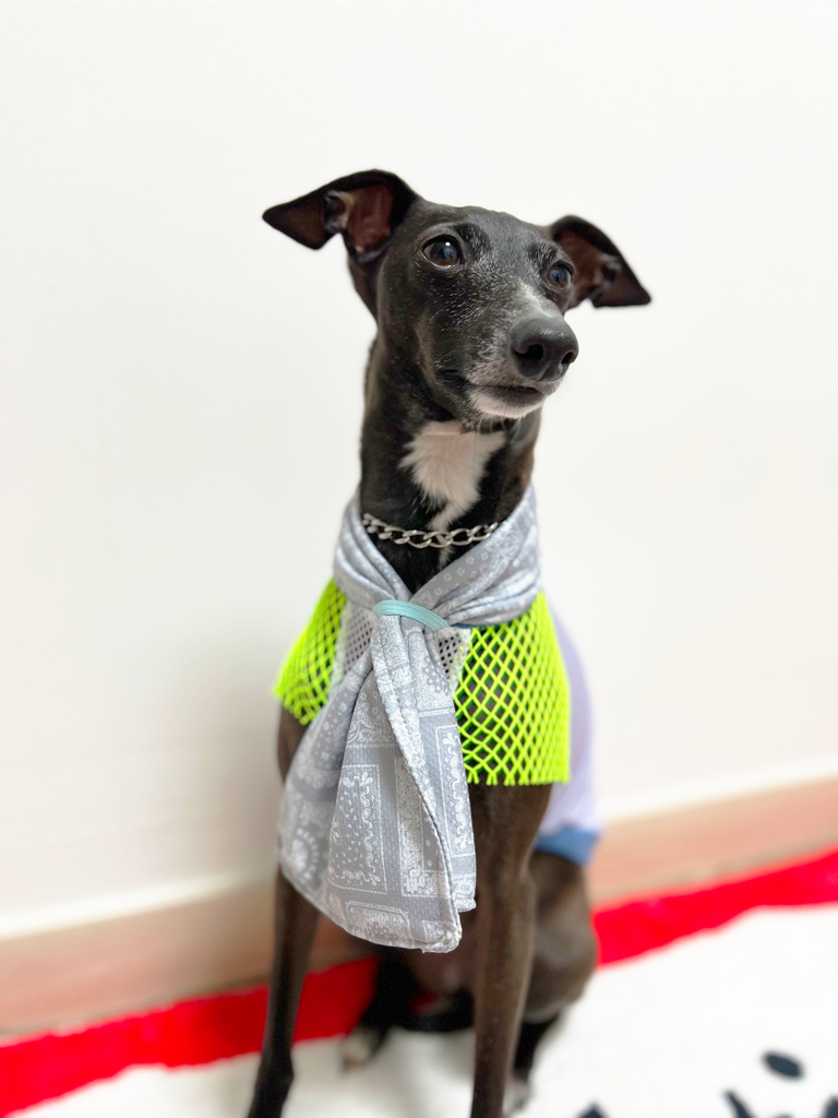 【ショート丈】Cool No-sleeve & towel 【purple & yellow】