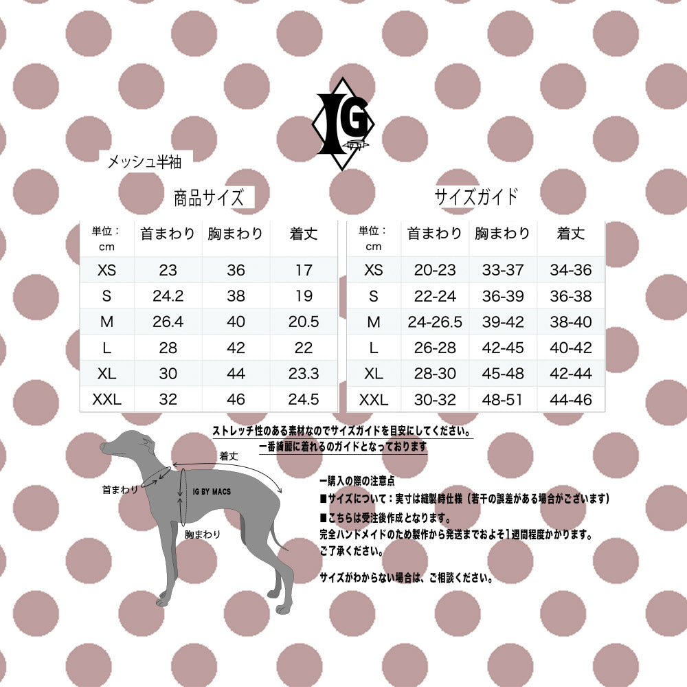 "paparazziG" Mesh T-Shirt 4Color