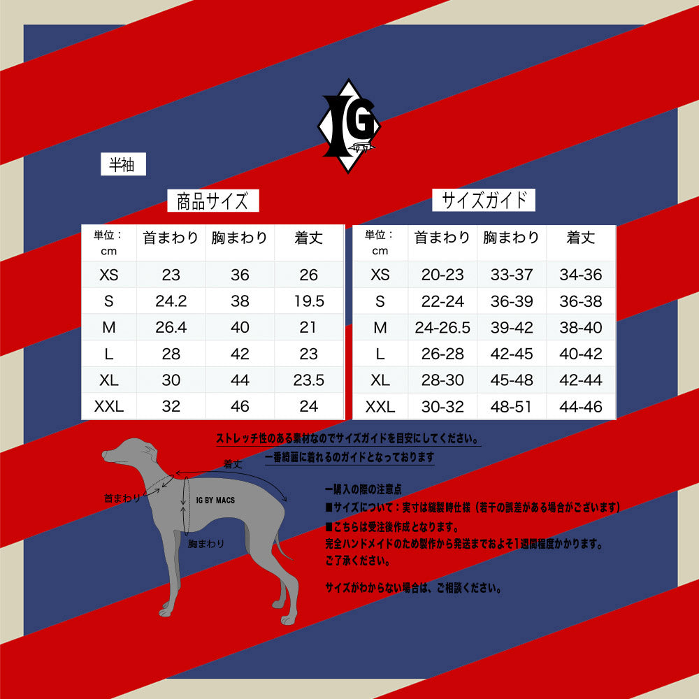 "paparazziG"ボーダーT-shirt 2Color