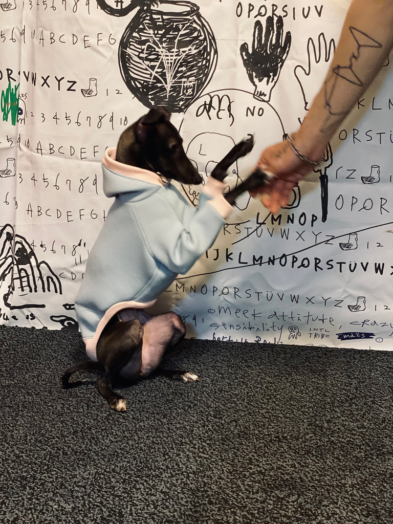 "It's Me" HOODIE PULLOVERーSKY BLUE