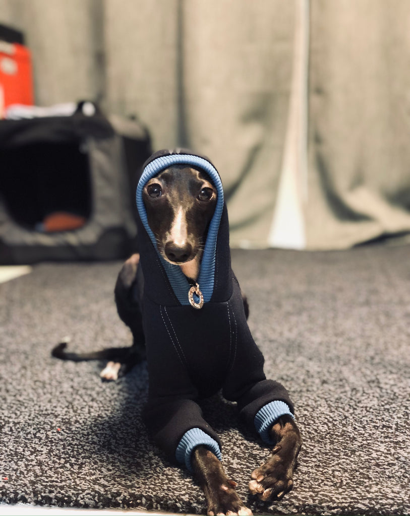 "It's Me" HOODIE PULLOVER-NAVY