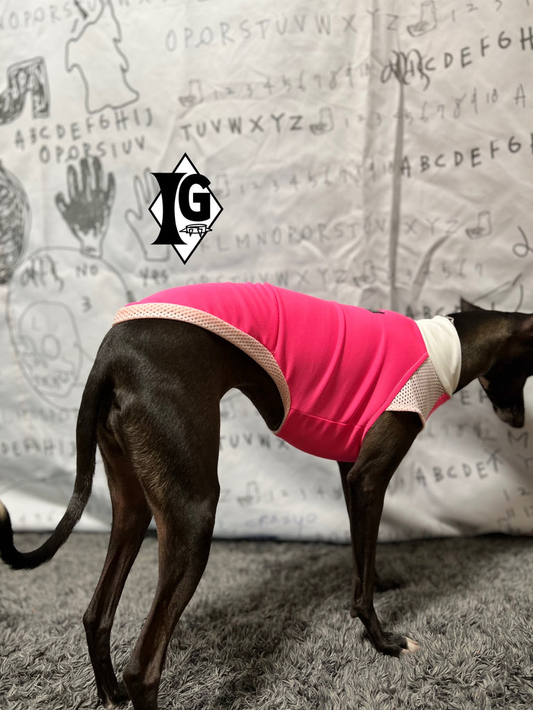 "paparazziG" UVcut+Cool No-sleeve Long Version PINK