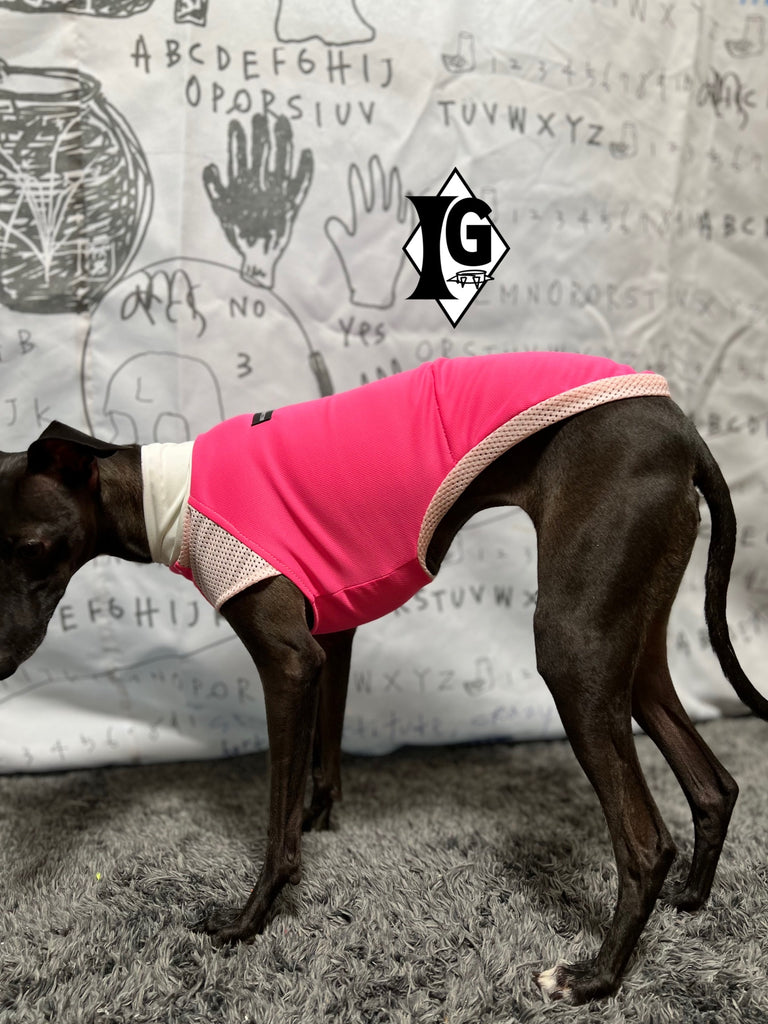 "paparazziG" UVcut+Cool No-sleeve Long Version PINK