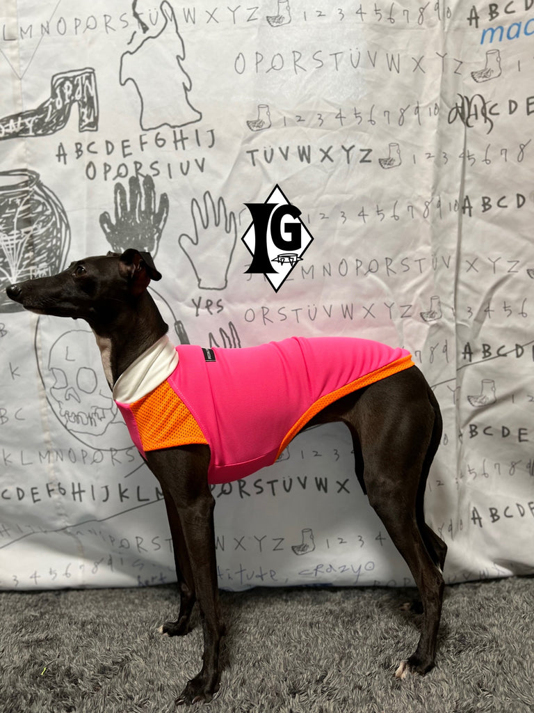 "paparazziG" UVcut+Cool No-sleeve Long Version ORANGE