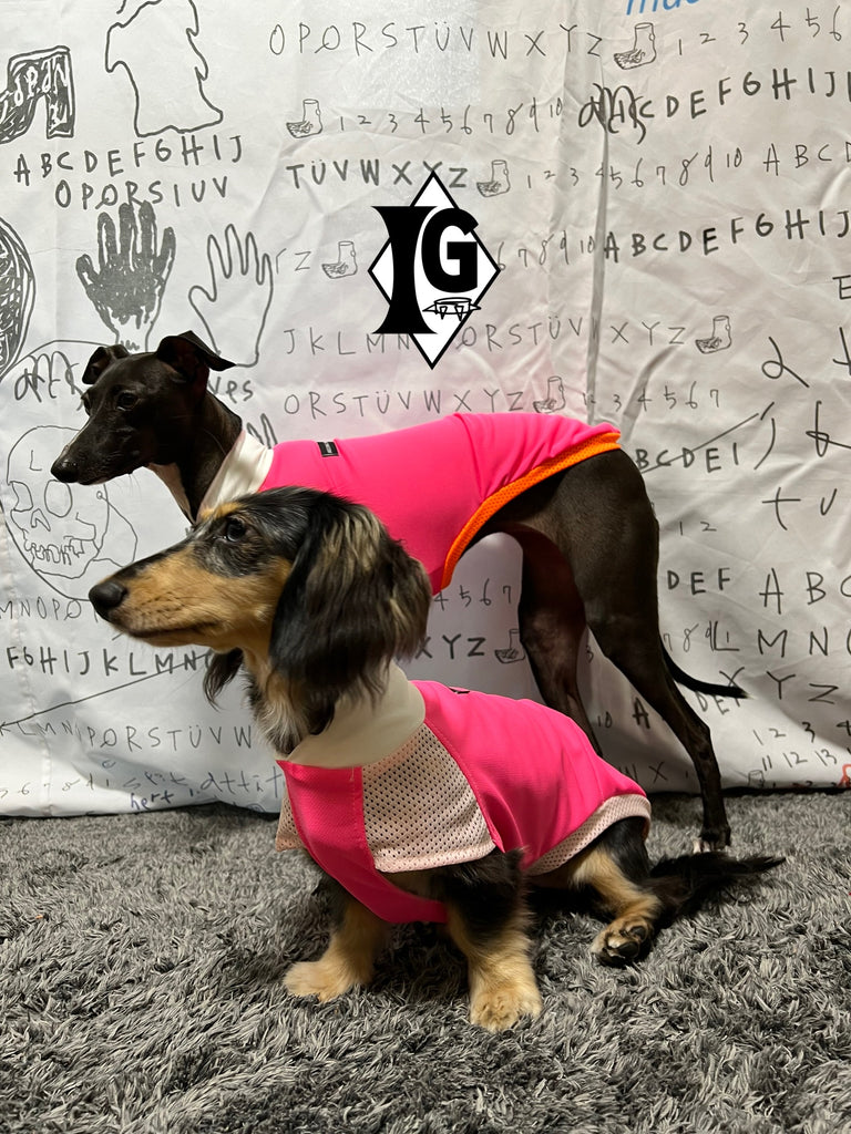 "paparazziG" UVcut+Cool No-sleeve Long Version PINK