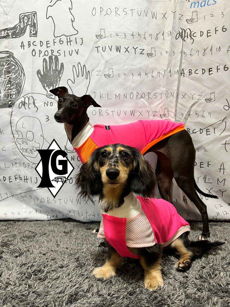 "paparazziG" UVcut+Cool No-sleeve Long Version PINK