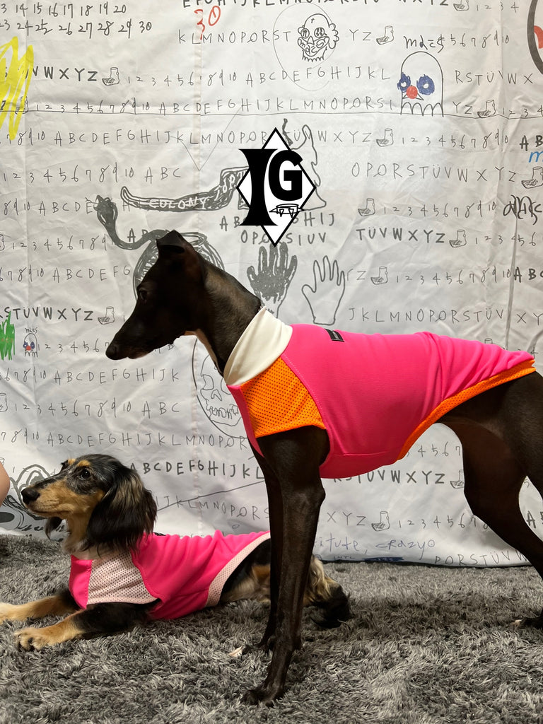 "paparazziG" UVcut+Cool No-sleeve Long Version ORANGE