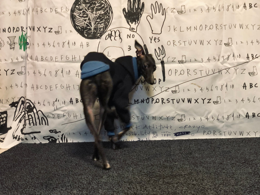 "It's Me" HOODIE PULLOVER-NAVY