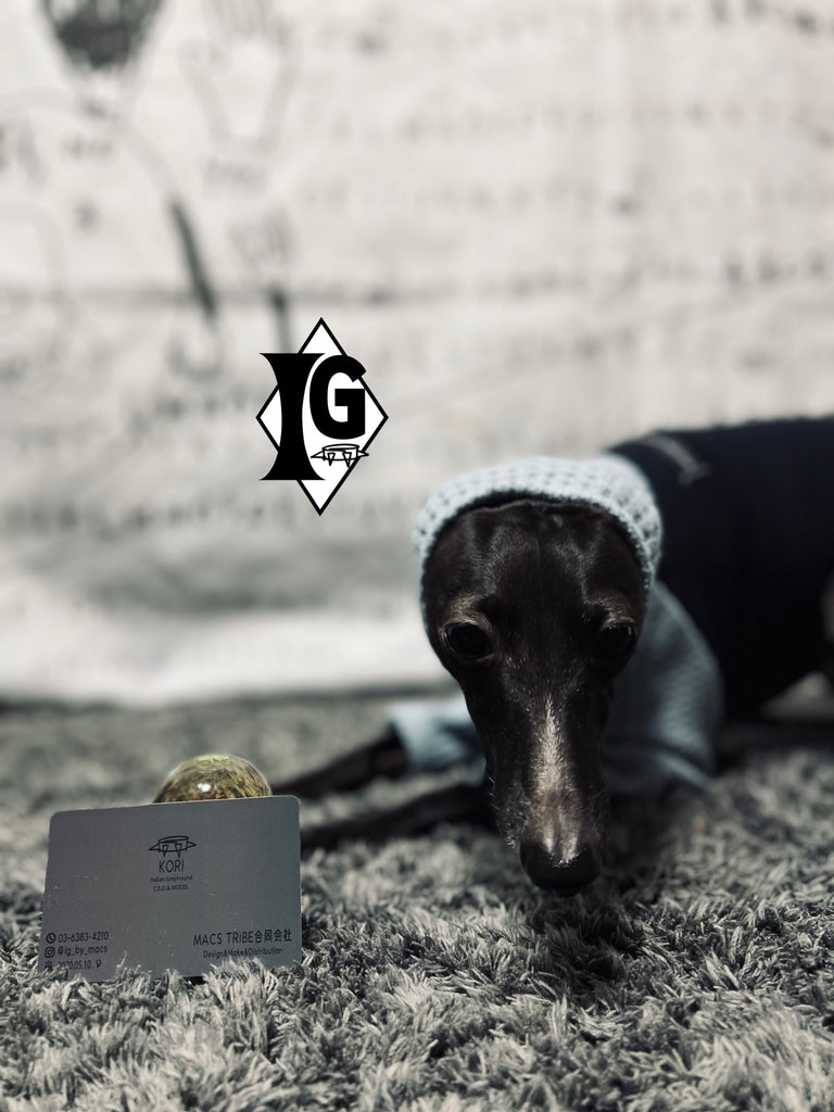 "I'm so picky" Turtleneck Pullover-NAVY