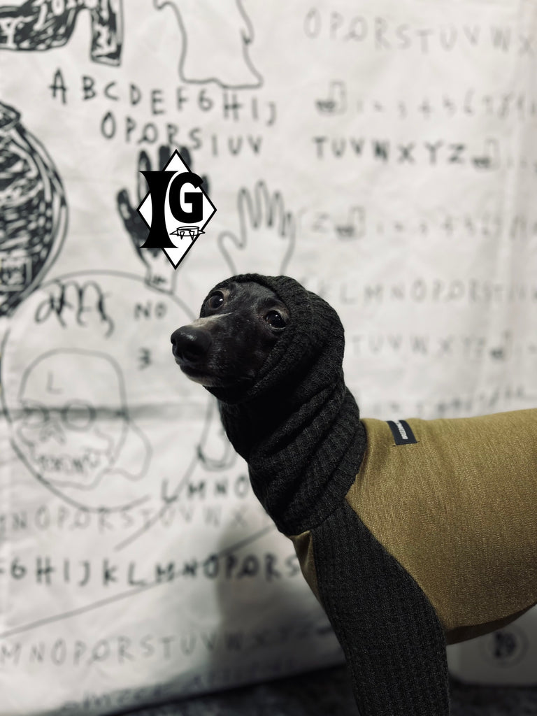 "I'm so picky" Turtleneck Pullover- KHAKI