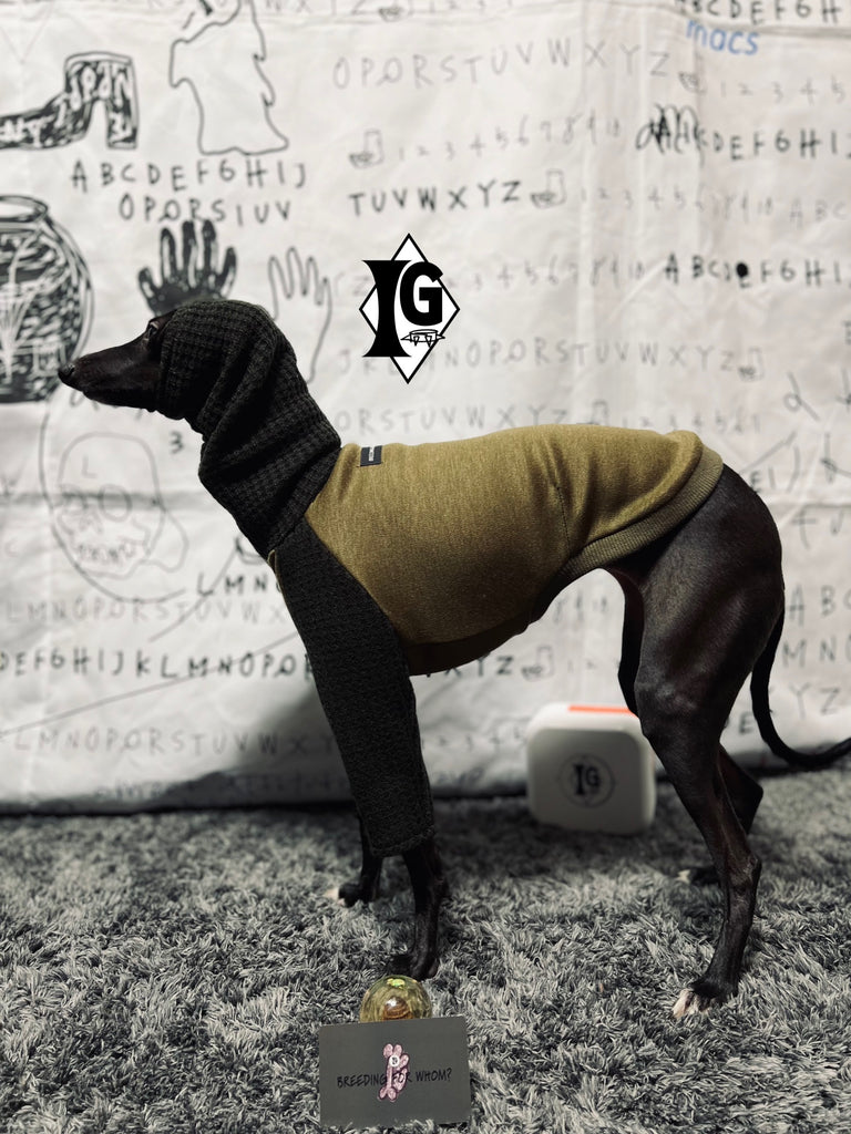 "I'm so picky" Turtleneck Pullover- KHAKI