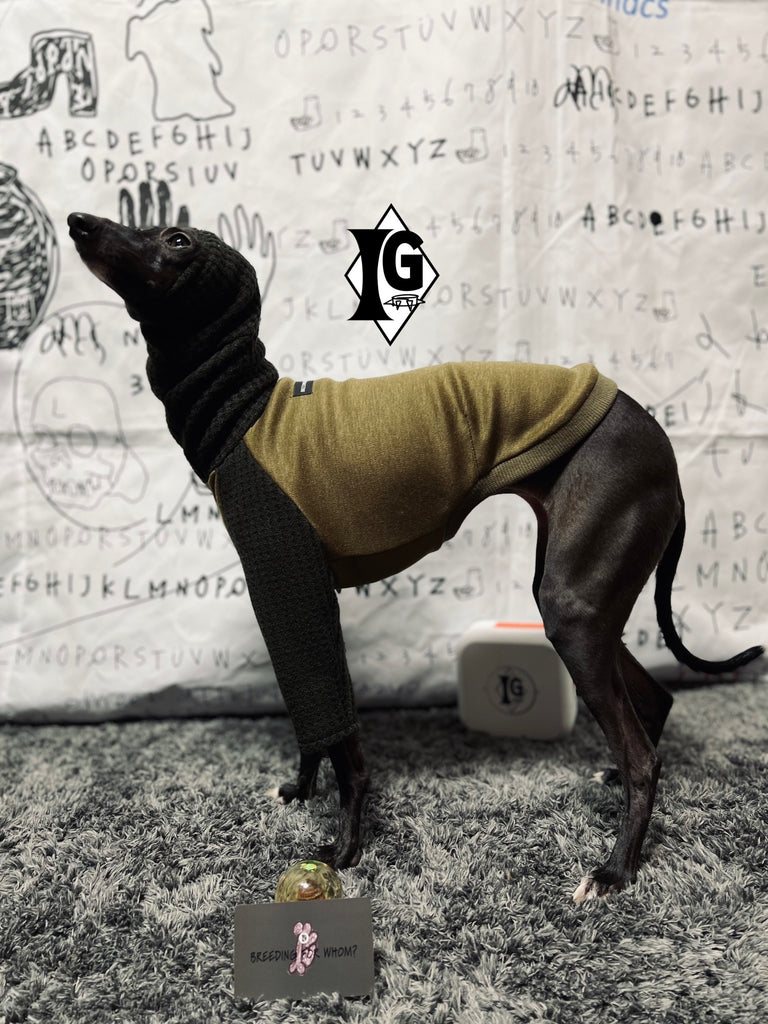 "I'm so picky" Turtleneck Pullover- KHAKI