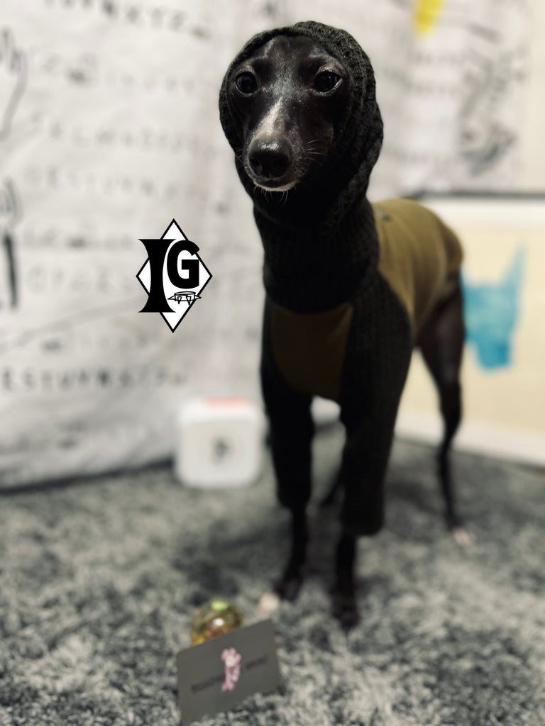 "I'm so picky" Turtleneck Pullover- KHAKI