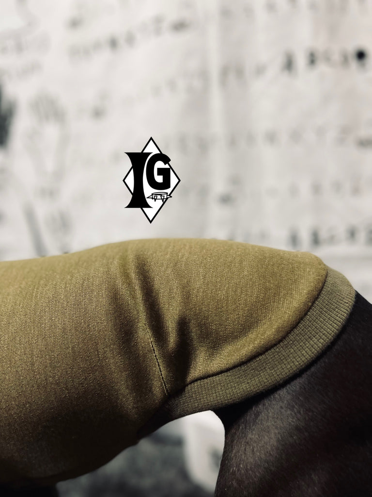 "I'm so picky" Turtleneck Pullover- KHAKI