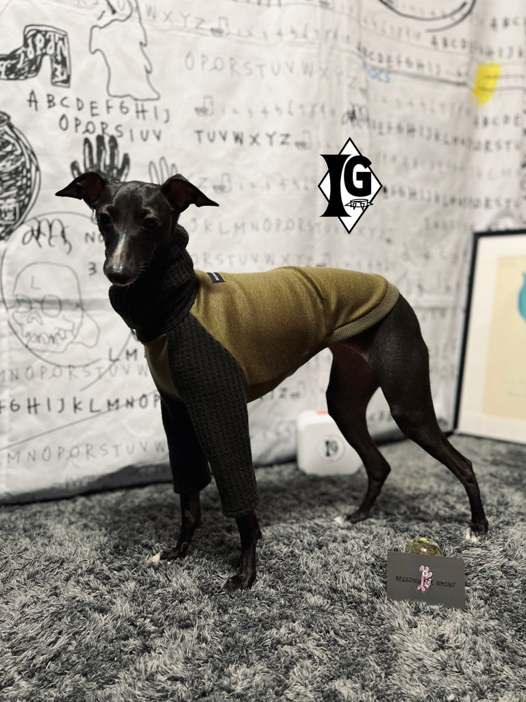 "I'm so picky" Turtleneck Pullover- KHAKI