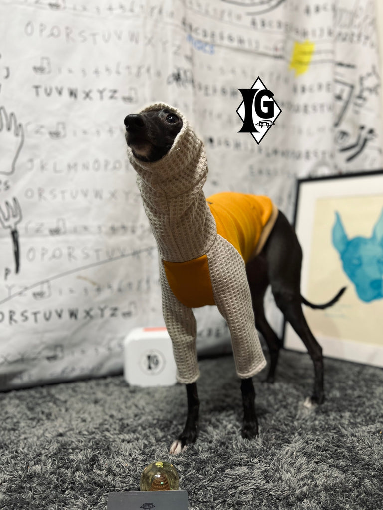 "I'm so picky" Turtleneck Pullover-Mustard