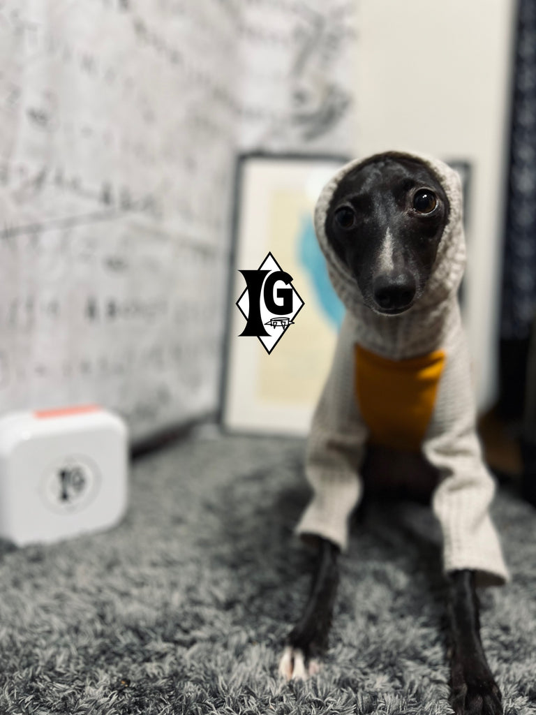 "I'm so picky" Turtleneck Pullover-Mustard