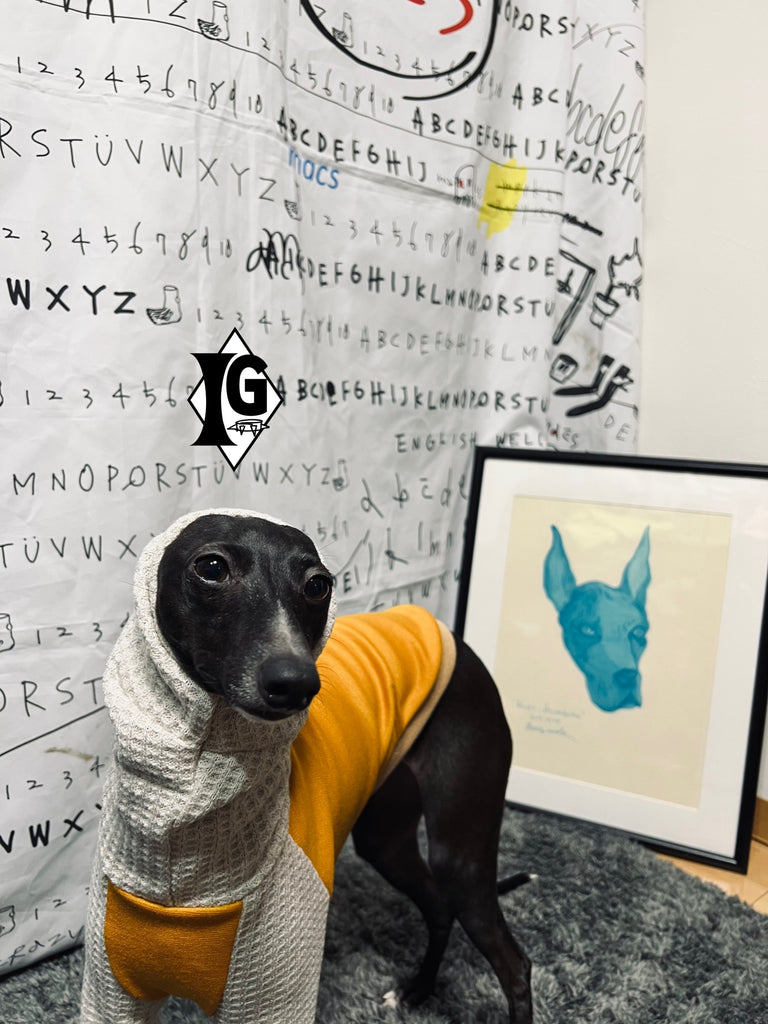 "I'm so picky" Turtleneck Pullover-Mustard