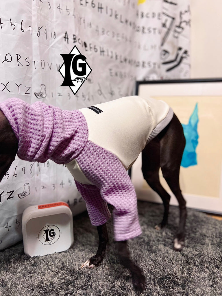"I'm so picky" Turtleneck Pullover-OFF WHITE