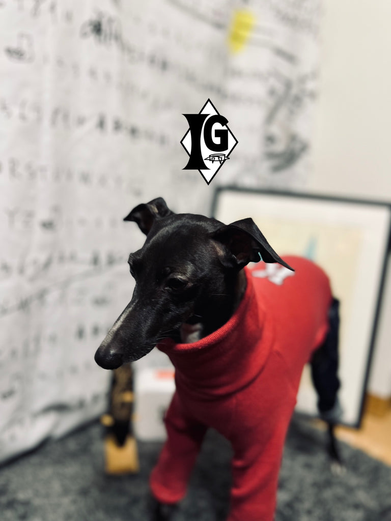 ”I'm so picky" Denim pants Pullover-RED