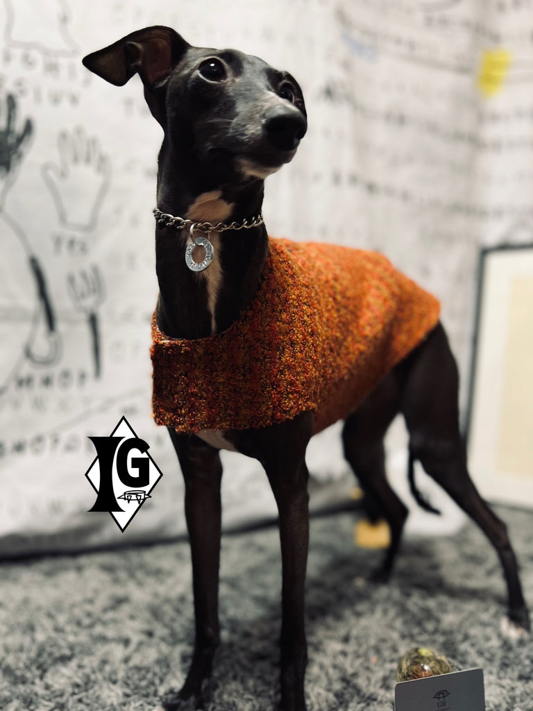 "I'm so picky" Tweed Vest-YELLOW RED